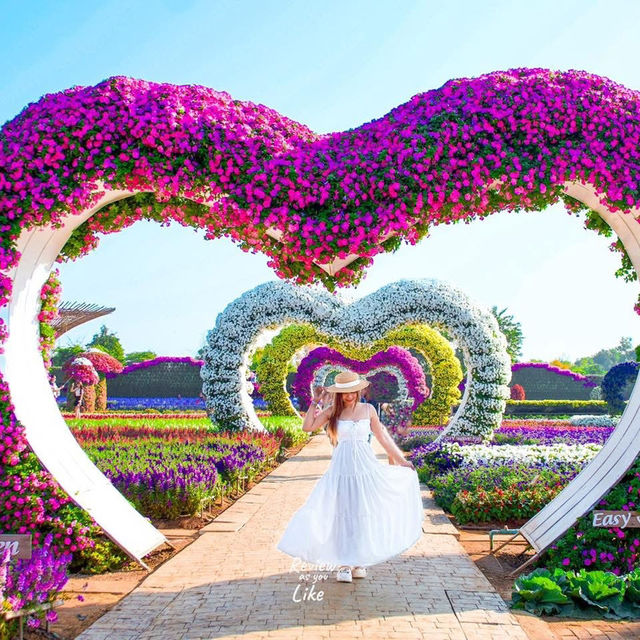   สวนเมเปิ้ล สวนดอกไม้ที่กำลังบานสวยวิวสุดอลังการ