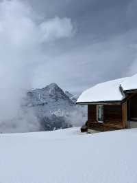 Grindelwald - First Cliff Walk แบบหิมะฉ่ำๆ