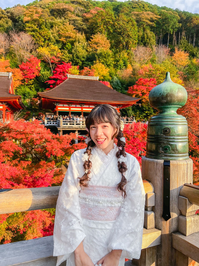 這是清水寺最美的樣子嗎🍁京都楓葉行