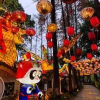 🍵 Tea Lover's Paradise: Discover Heming Tea House in Chengdu