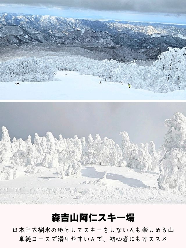 【秋田】冬の秋田観光で行きたい⁡スポット 4選⁡