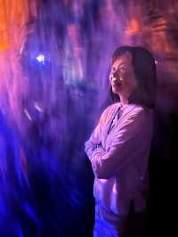 TeamLab Borderless