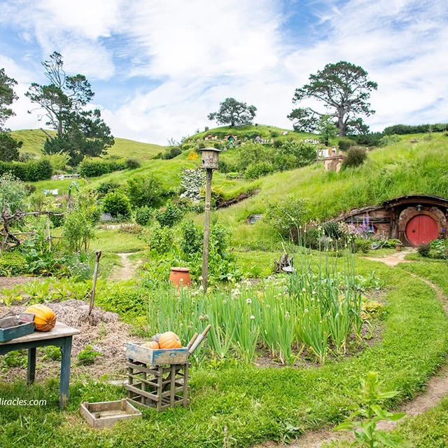 Hobbiton, located in Matamata, New Zealand,