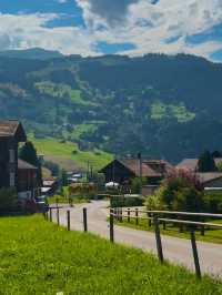 🇨🇭여름 스위스, 그리고 잊지못할 그린델발트 Grindelwald🇨🇭
