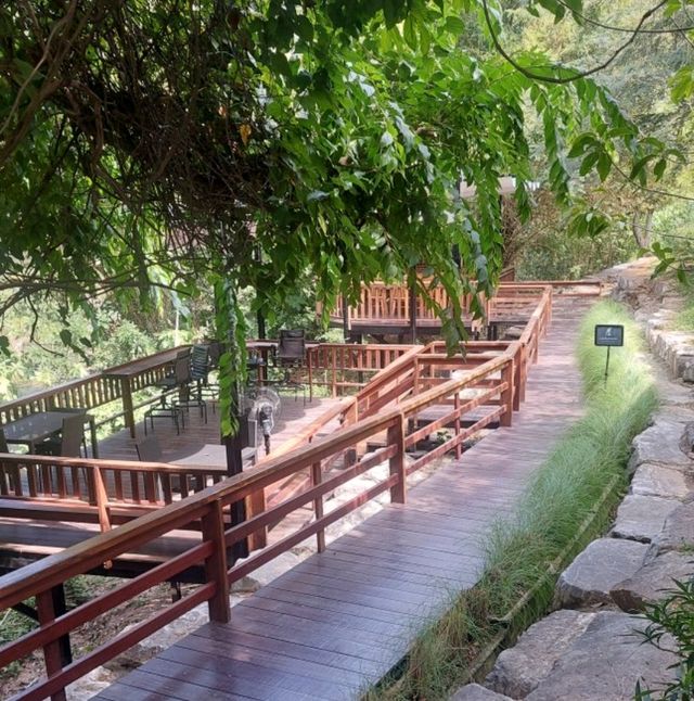 🏰 Within Khaoyai✨️🍰 คาเฟ่สวนหิน