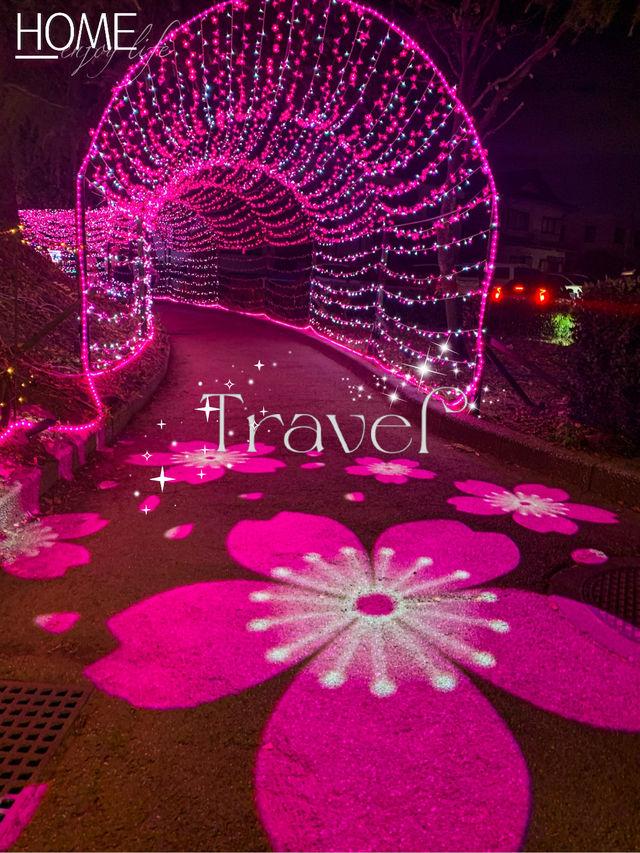 งานประดับไฟ เมืองชิริว จังหวัดไอจิต