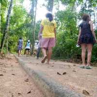 สะพานเรือนยอดไม้ จ.ตรัง