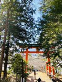 【山梨 冬の日帰り旅】富士山と五重塔の絶景 人気のスポット！
