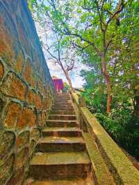 珠海白蓮洞公園：自然與歷史的交響曲🌿