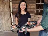 Close Encounters at Caversham Wildlife Park: Kangaroos, Koalas, Wombats and More