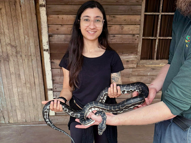 Close Encounters at Caversham Wildlife Park: Kangaroos, Koalas, Wombats and More