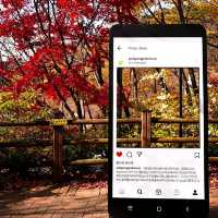 韓國大邱_ 必訪 팔공산 케이블카八公山纜車_享受楓紅黃杏 山巒間