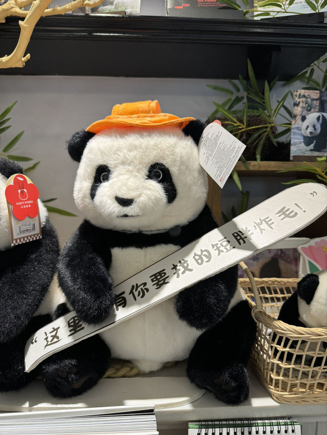  🇨🇳 Pandamonium & Spicy Flavors: A Culinary Adventure in Chengdu 