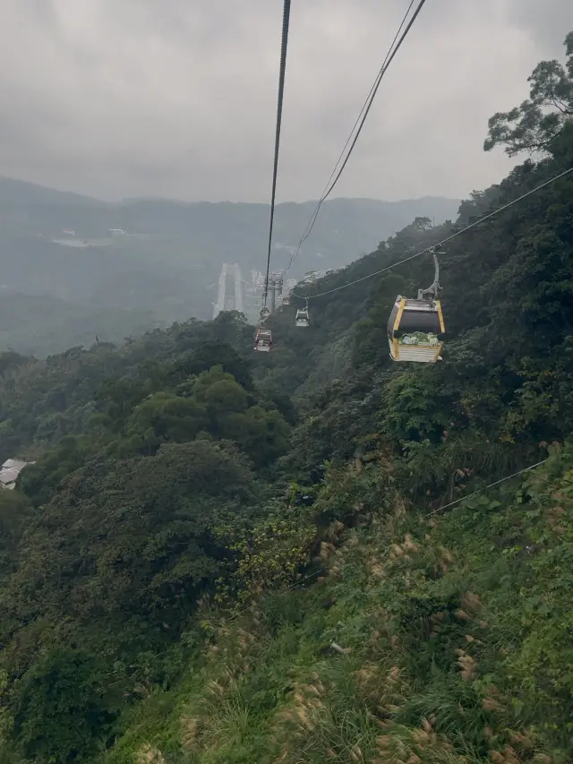乘坐貓空纜車，享受茶與寧靜的美好旅程。
