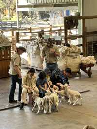 Must-visit places in Caversham Wildlife Park