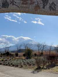Oishi Park: Stunning Views of Mount Fuji Unobstructed