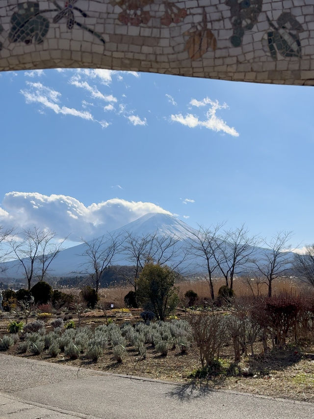 Oishi Park: Stunning Views of Mount Fuji Unobstructed