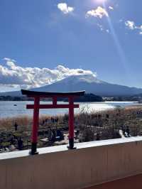 Oishi Park: Stunning Views of Mount Fuji Unobstructed