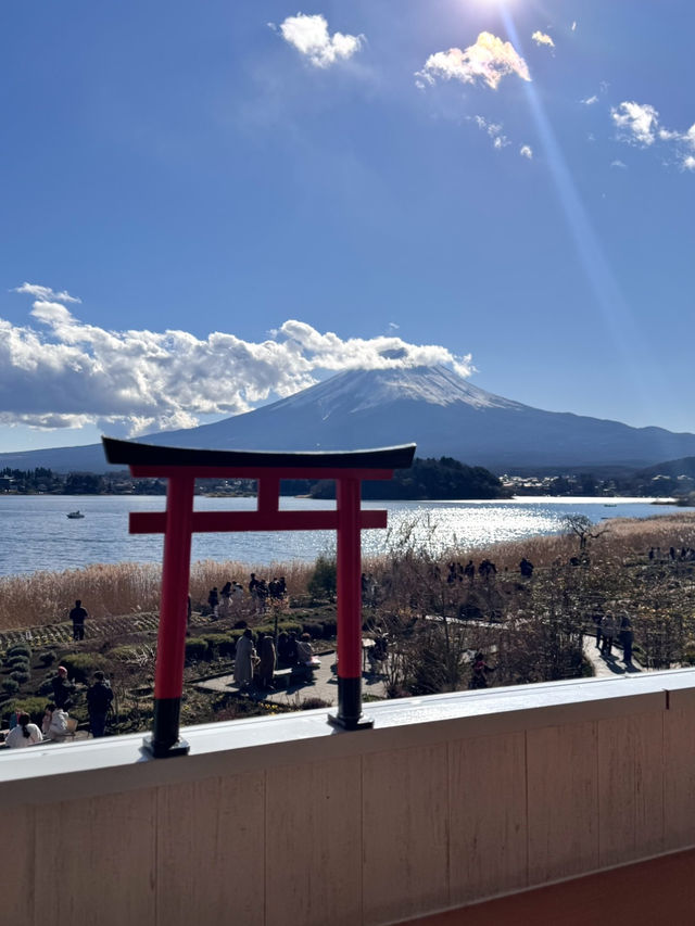 Oishi Park: Stunning Views of Mount Fuji Unobstructed