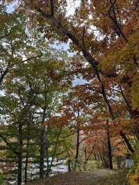 大沼國定公園賞楓