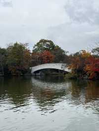 大沼國定公園賞楓