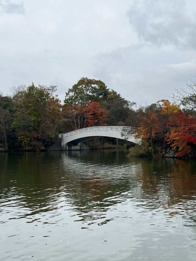 大沼國定公園賞楓