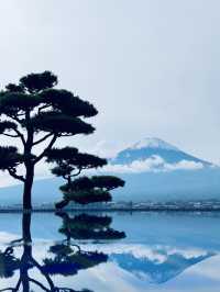 隱世桃源：富士山旁的秀峰閣酒店，享受榻榻米與懷石料理的夢幻之旅✨