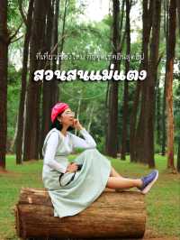 สวนสนแม่แตง ที่เที่ยวเชียงใหม่ จุดถ่ายรูปสุดฮิป