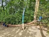 Saalfeld Fairy Grottoes