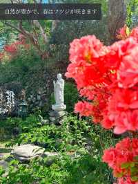 【パワースポット】縁起だるま発祥のお寺でだるまに祈ろう