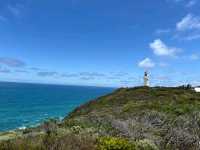 A Whisker Away from Paradise: Cape Schanck Wonders