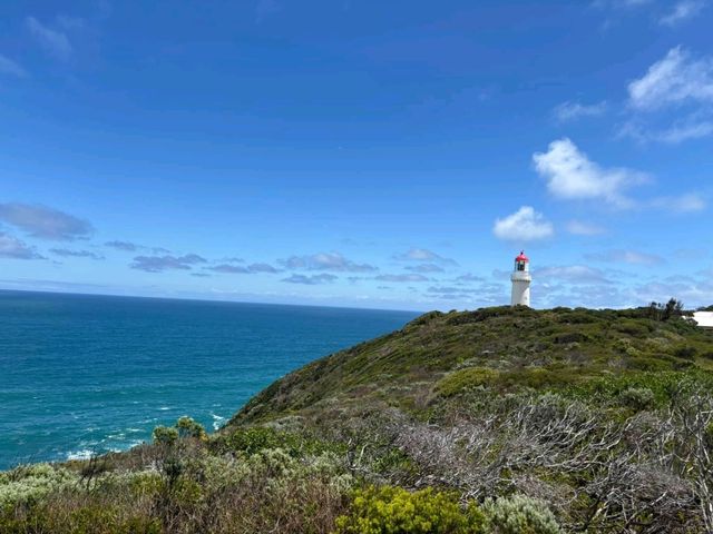A Whisker Away from Paradise: Cape Schanck Wonders