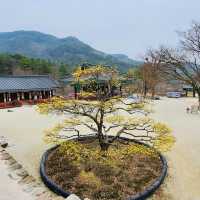 来蘇寺 