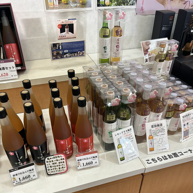 【福井/三方上中】梅のお土産を買うならここ☝️