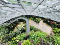 A Breathtaking Oasis: Gardens by the Bay