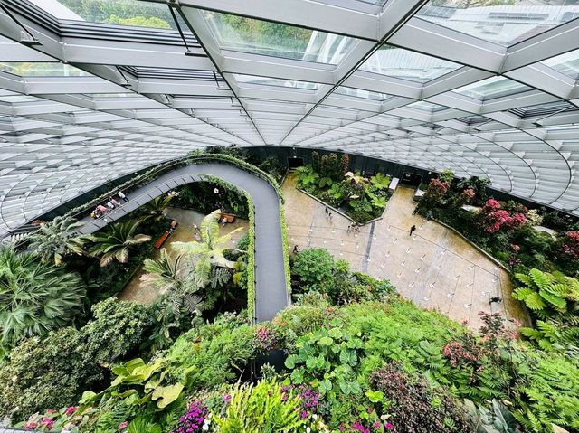 A Breathtaking Oasis: Gardens by the Bay