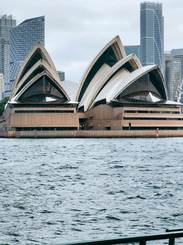 Discovering the highlights of Sydney: The Opera House and Taronga Zoo