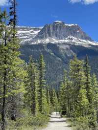 Solitude and Splendor – My Solo Journey Through Yoho National Park