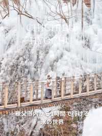 【埼玉秩父】市内から1時間で行ける氷の世界