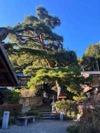 Narai-juku 