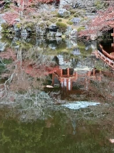 【京都府】桜の名所で紅葉を愉しむ