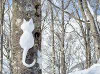 長野縣｜白馬岩岳滑雪場❄️雪山上的鞦韆！不滑雪也好好玩