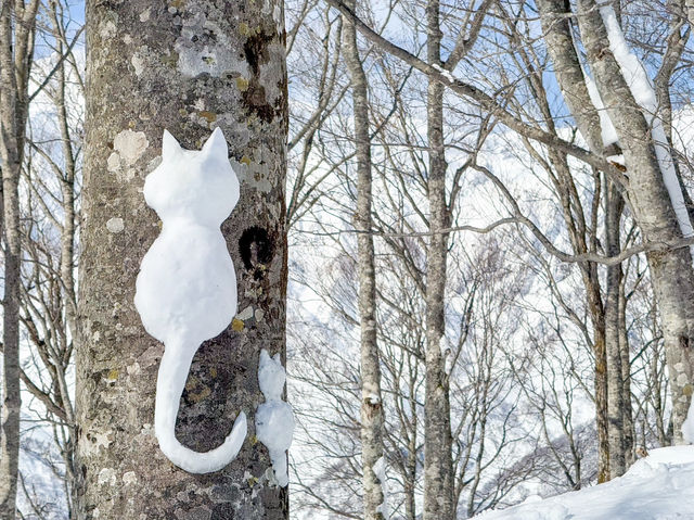 長野縣｜白馬岩岳滑雪場❄️雪山上的鞦韆！不滑雪也好好玩