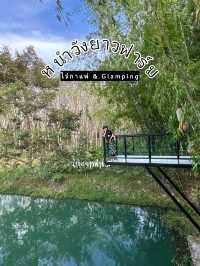 ไปดูบัวใหญ่ที่ หนำวังยาวฟาร์ม เทพา