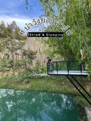 ไปดูบัวใหญ่ที่ หนำวังยาวฟาร์ม เทพา