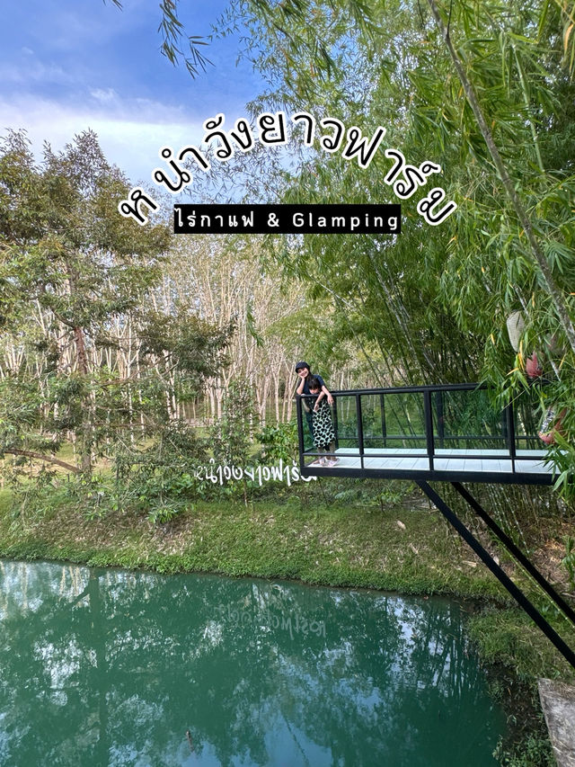 ไปดูบัวใหญ่ที่ หนำวังยาวฟาร์ม เทพา