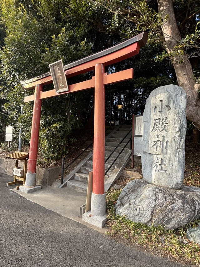 南部（みなべ）梅林へ今年初めての梅を見に❤️