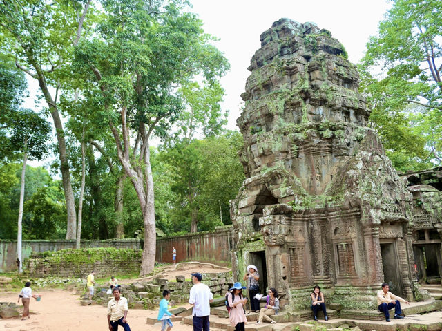 A Temple Frozen in Time: Ta Prohm