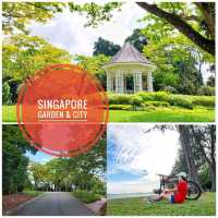 Singapore : Forest & City