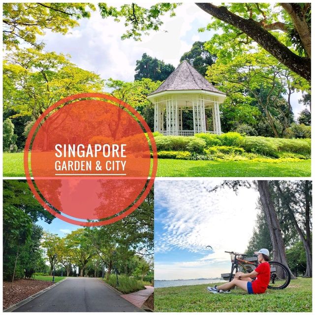 Singapore : Forest & City